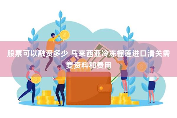 股票可以融资多少 马来西亚冷冻榴莲进口清关需要资料和费用