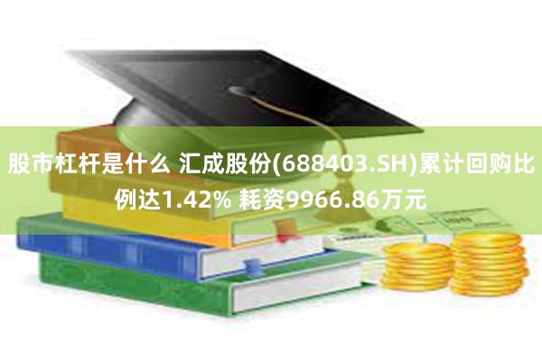 股市杠杆是什么 汇成股份(688403.SH)累计回购比例达1.42% 耗资9966.86万元