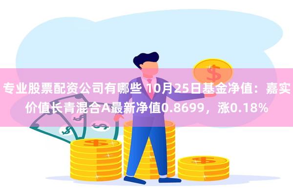 专业股票配资公司有哪些 10月25日基金净值：嘉实价值长青混合A最新净值0.8699，涨0.18%