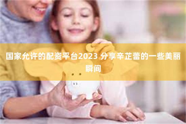 国家允许的配资平台2023 分享辛芷蕾的一些美丽瞬间