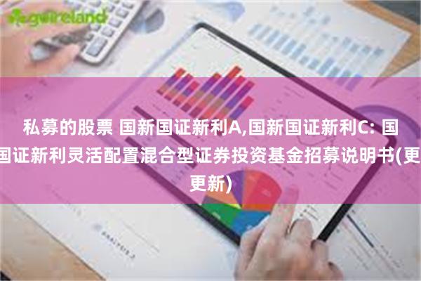 私募的股票 国新国证新利A,国新国证新利C: 国新国证新利灵活配置混合型证券投资基金招募说明书(更新)